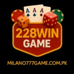 228Win Game logo